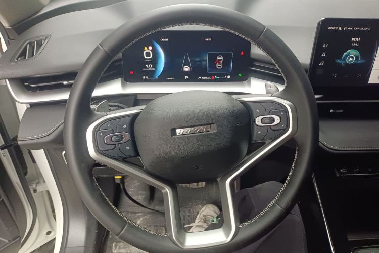 Used Haval H6 2024 1.5T Two-Wheel-Drive Classic Edition
