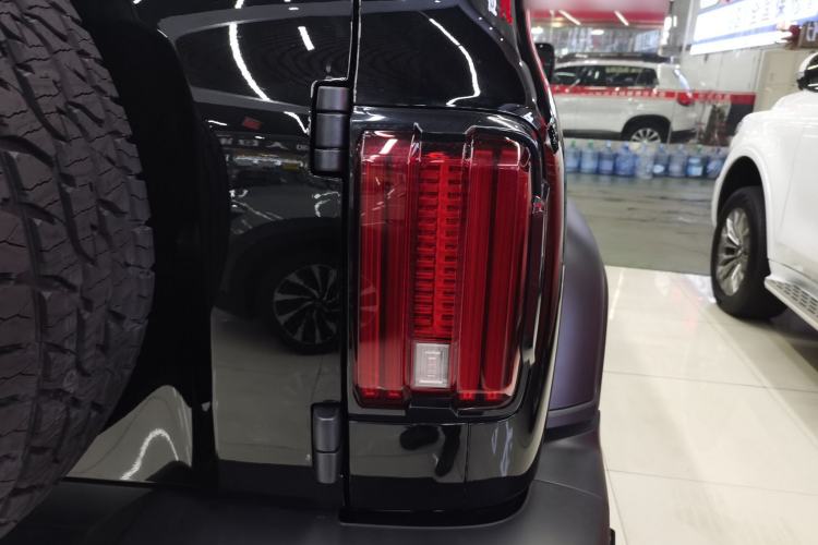 Used Tank 300 2024 2.0T Conqueror