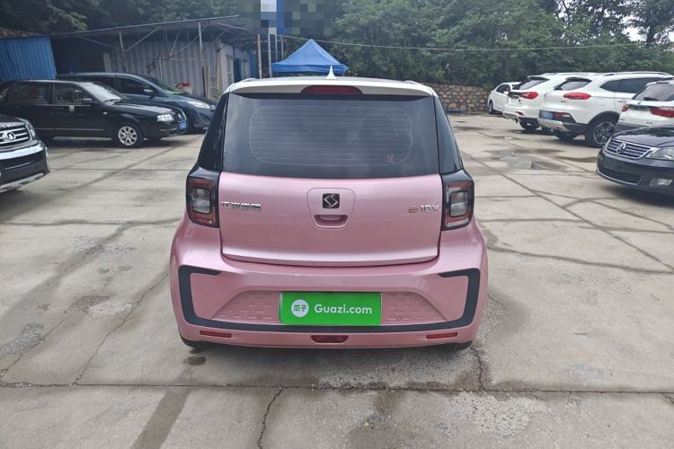 Used SOL E10X 2022 Flower Fairy Design Four-Leaf Clover
