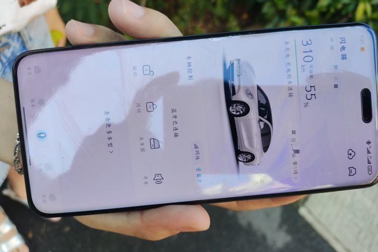 Used ORA Lightning Cat 2022 555 km Luxury Edition
