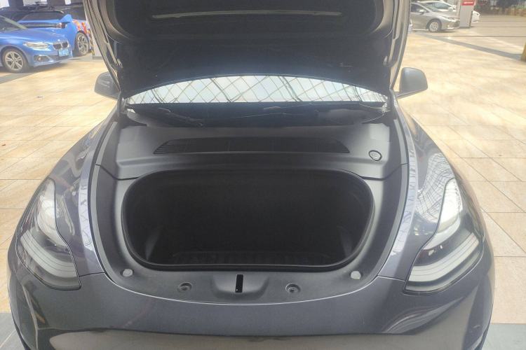 Used Tesla Model Y 2021 Standard Range Rear-Wheel Drive Version
