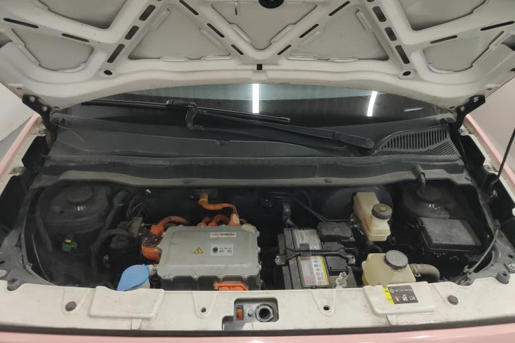 Used ORA Black Cat 2019 351 km Family Edition
