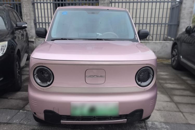 Used  Panda 2023 Panda Mini 200km Endurance Bear