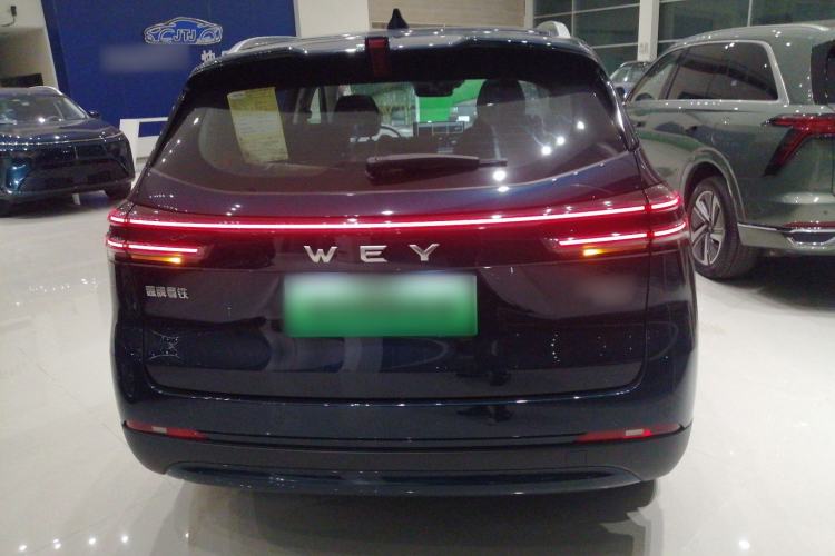 Used Wey Mocha New Energy 2024 Hi4 Four-Wheel Drive Long-Range Version