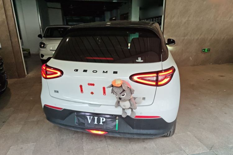 Used Geely Galaxy Geome 2025 310km Youth Edition