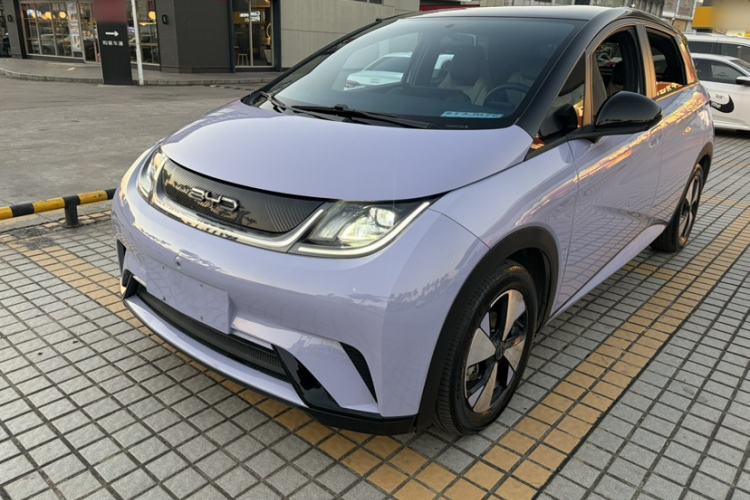 Used BYD Dolphin 2023 420 km Free Version

