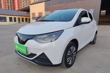 Used JMEV 2024 201km Comfort Version