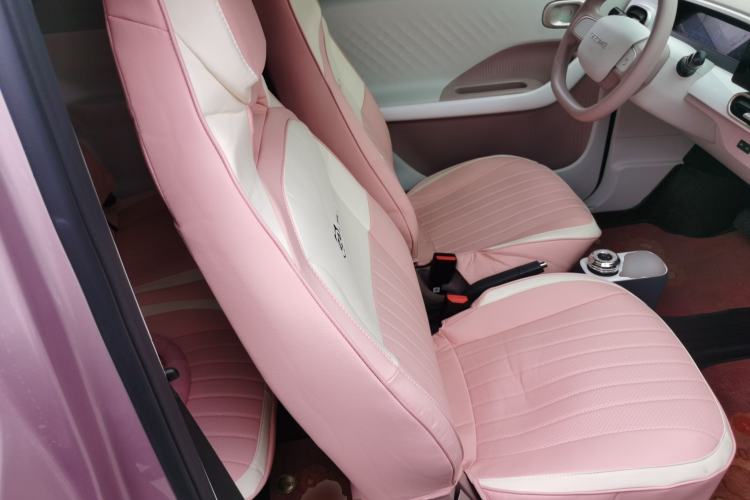 Used  Panda 2025 210 km – Yuanqi Bear