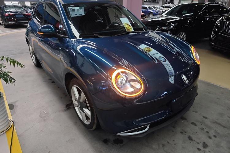 Used ORA Good Cat 2023 401 km Standard Range Luxury Version Lithium Iron Phosphate
