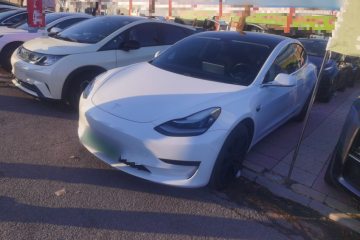 Used Tesla Model 3 2020 Standard Range Rear-Wheel Drive Upgraded Version