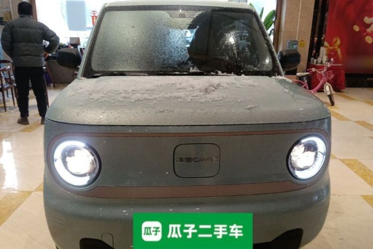 Used  Panda 2023 Panda Mini 200km Endurance Bear
