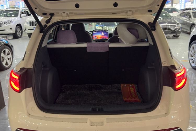 Used  Geome 2025 310km Dream Edition
