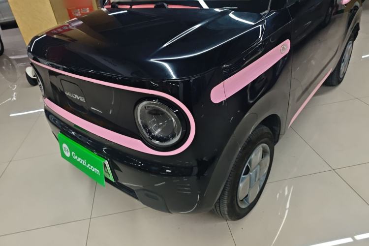 Used  Panda 2023 Panda Mini 200km Endurance Bear