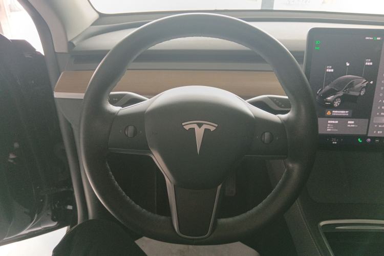 Used Tesla Model Y 2021 Standard Range Rear-Wheel Drive Version
