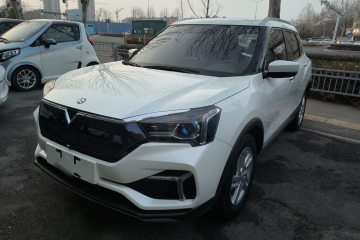 Used Venucia T60EV 2020 AI Enjoyment Model