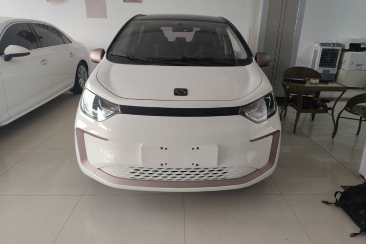 Used SOL E10X 2022 Flower Fairy Design Four-Leaf Clover