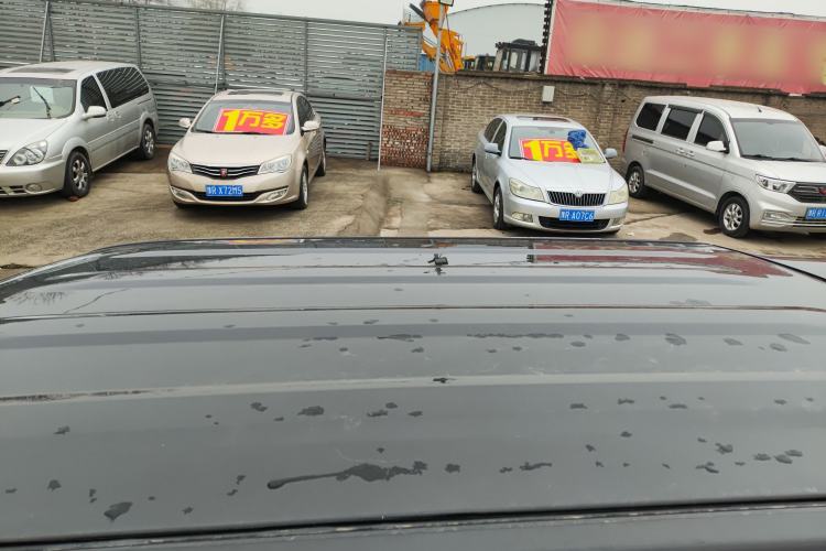 Used  Panda 2024 Panda Mini 200km Endurance Bear
