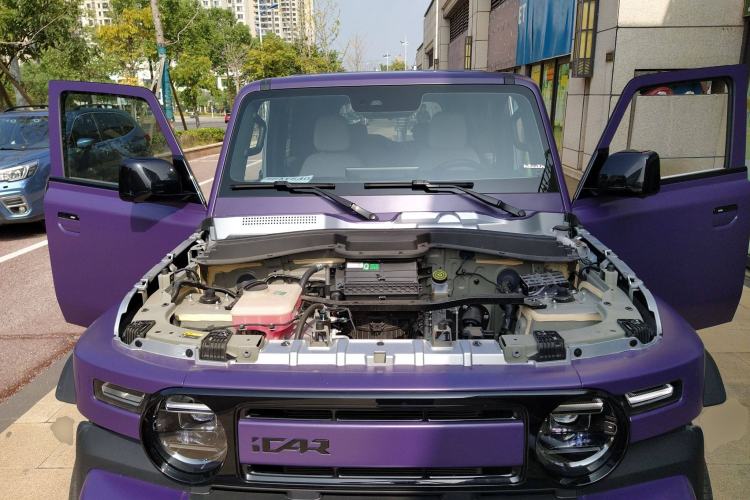 Used  V23 2025 401 Two-Wheel Drive Intelligent Driving Version
