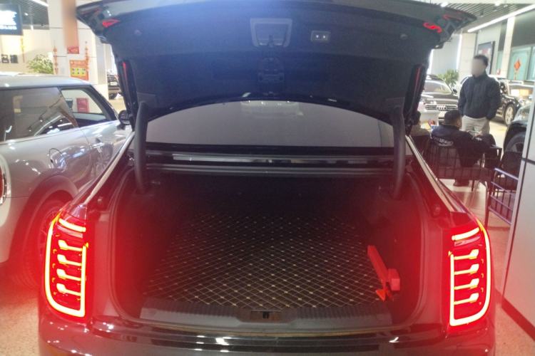 Used Hongqi H9 2020 3.0T Smart Connect Flagship Four-Seat Version