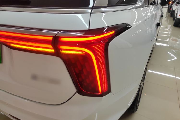 Used Hongqi E-HS9 2022 660 km Range Flagway Edition Six Seats
