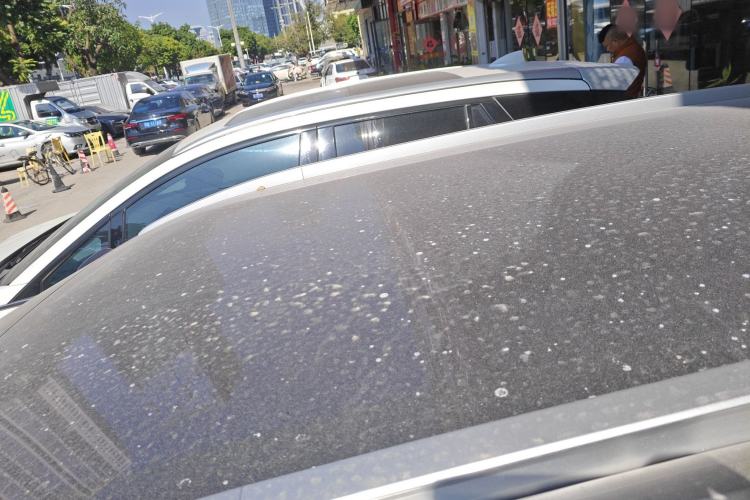 Used AION Y 2022 70 Tech Edition Ternary Lithium