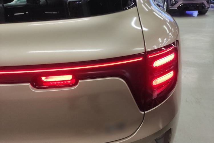 Used  #5 2025 Ultra-Long Range Luxury Four-Wheel Drive Edition