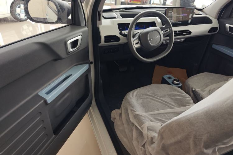 Used  Panda 2024 Panda Mini 200km Endurance Bear