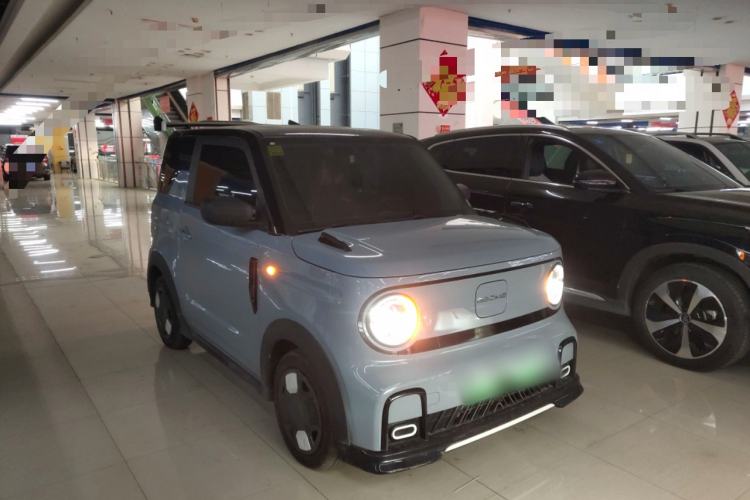 Used  Panda 2024 200km Panda Kart
