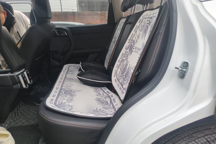 Used Haval DARGO 2024 2.0T DCT Chinese Rural Dog Edition