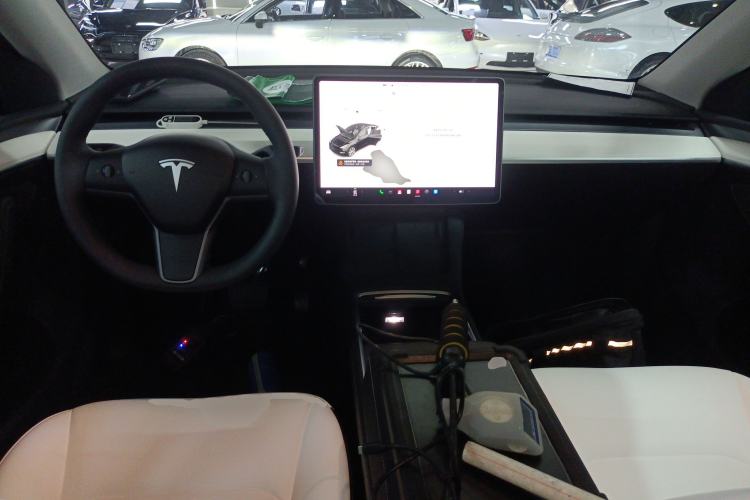 Used Tesla Model Y 2021 Standard Range Rear-Wheel Drive Version
