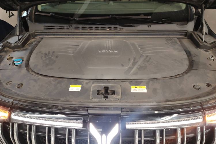 Used VOYAH Dream 2022 Low-Carbon Edition Home
