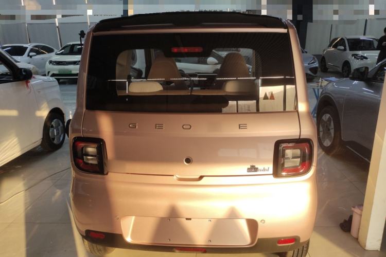 Used  Panda 2025 210 km – Yuanqi Bear
