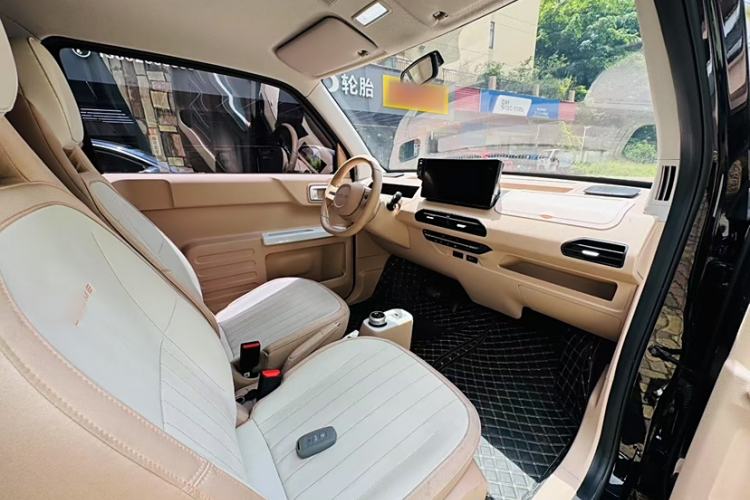 Used  Panda 2024 200km Panda Kart
