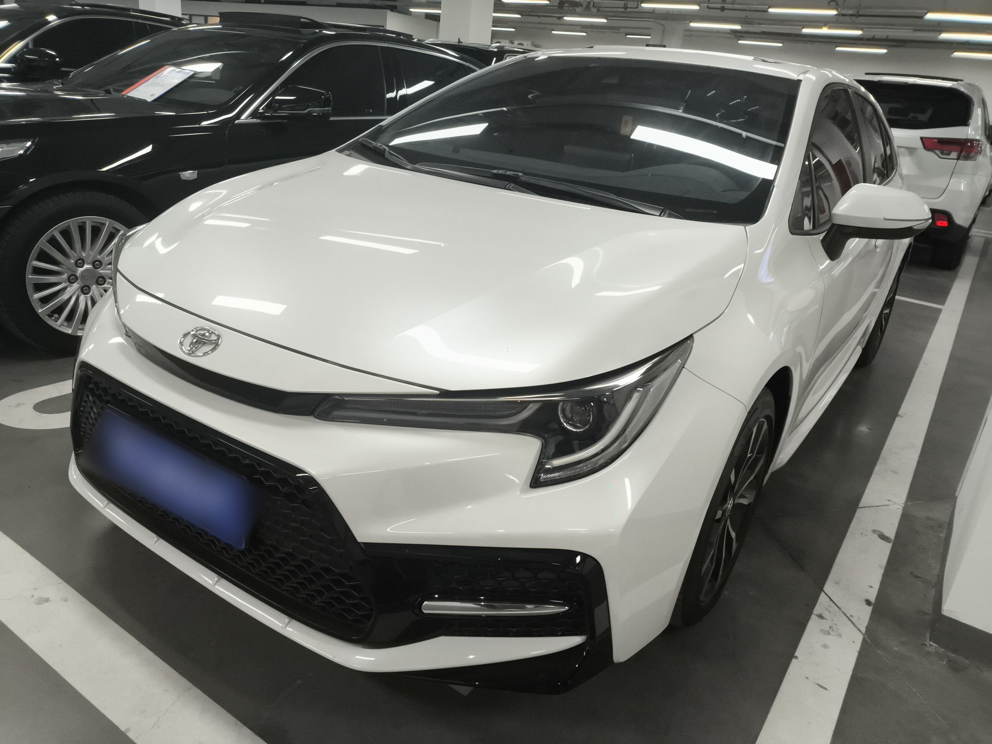 تحت مقدمة السيارة