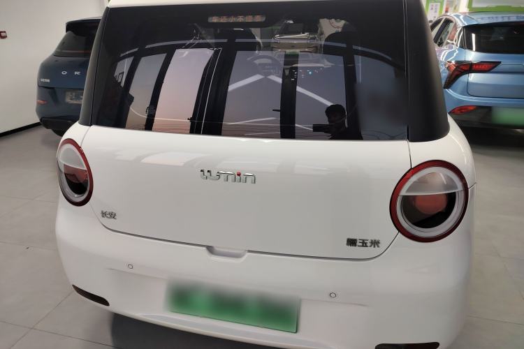 Used  Lumin 2023 205km Xiangqin Version
