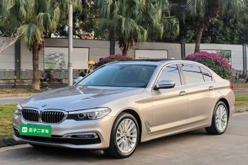 Used BMW 5 Series 2019 530Li Leading Model Luxury Package