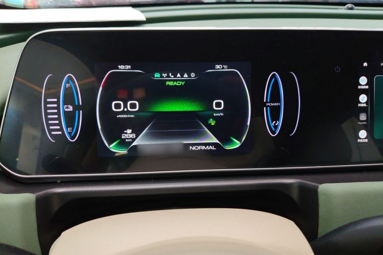 Used ORA Good Cat 2023 401 km Standard Range Luxury Version Lithium Iron Phosphate
