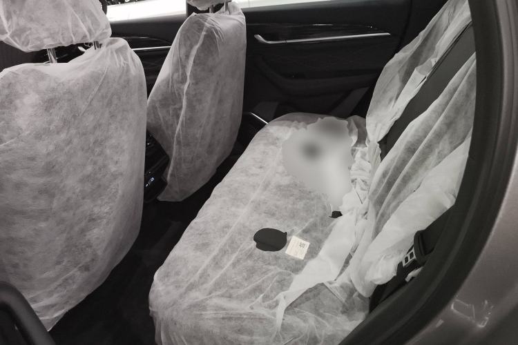 Used Geely Auto Monjaro L 2024 2.0TD DCT EVO Two-Wheel Drive Long-Range Version
