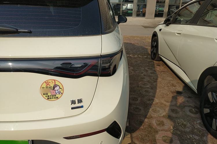 Used BYD Dolphin 2025 Smart Drive Version 420 km Freedom Edition
