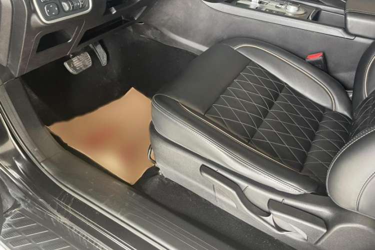 Used Great Wall Poer 2021 2.0T Global Version Passenger Automatic Diesel Two-Wheel Drive Comfort Trim Standard Cab GW4D20M
