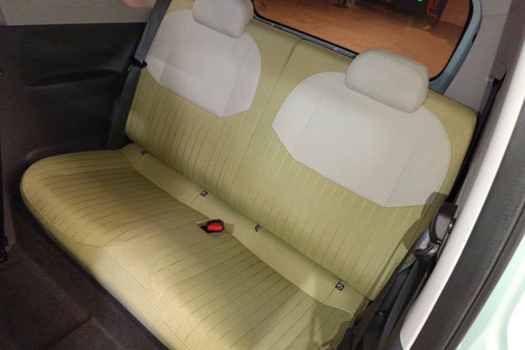 Used  Panda 2024 Panda Mini 200km Endurance Bear
