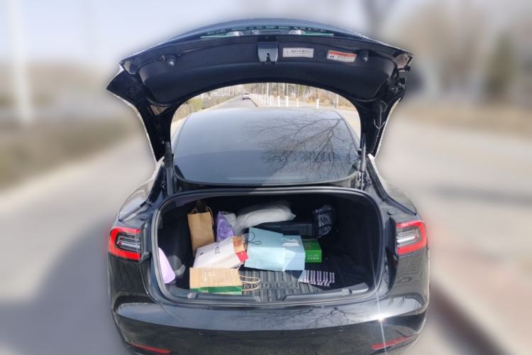 Used Tesla Model 3 2022 Rear-Wheel-Drive Version