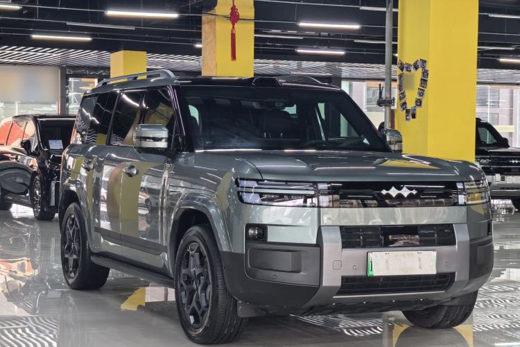 Used Formula Leopard Tai 7 2025 Model 190 km Four-Wheel Drive Ultra Edition
