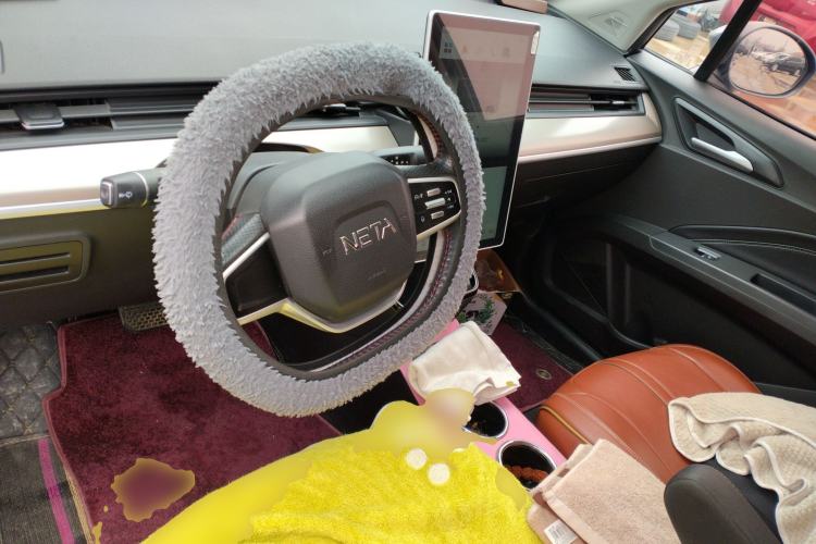 Used NETA V 2021 Standard Range Version