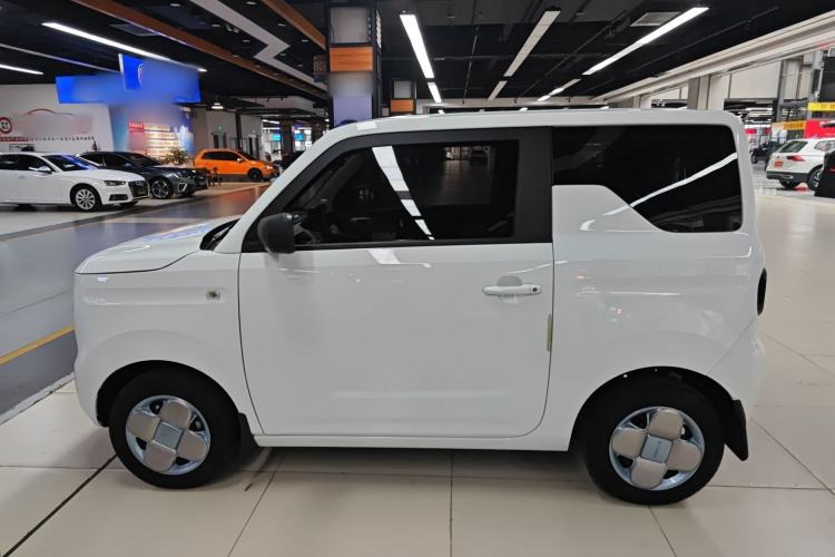 Used  Panda 2023 Panda Mini 200km Endurance Bear
