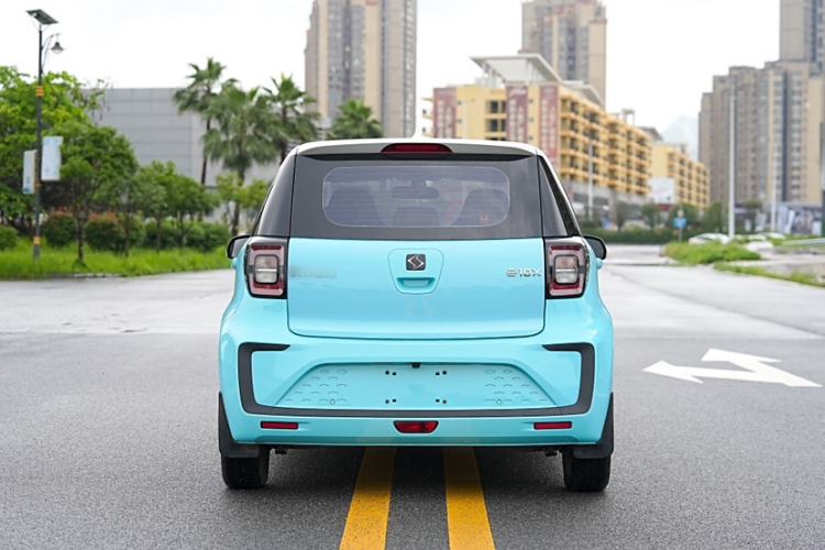 Used SOL E10X 2022 Flower Fairy Style Baby's Breath
