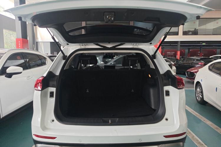 Used Haval H6 2023 National Trend Edition 1.5T Automatic Champion Version
