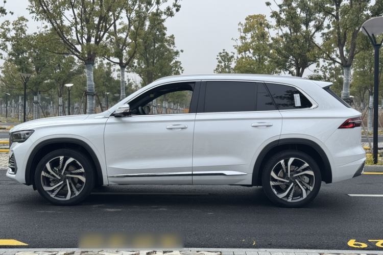 Used Geely Auto Monjaro L 2024 2.0TD High-Power Automatic Two-Wheel Drive Skyline Edition
