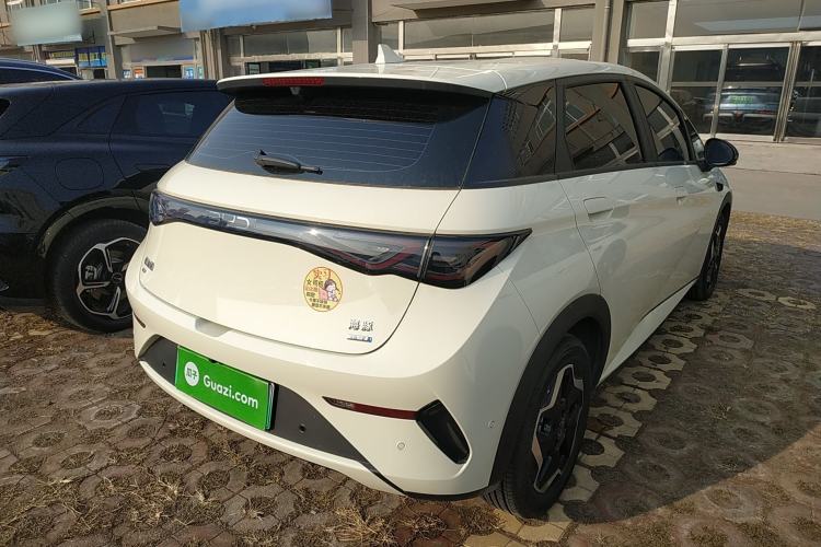 Used BYD Dolphin 2025 Smart Drive Version 420 km Freedom Edition
