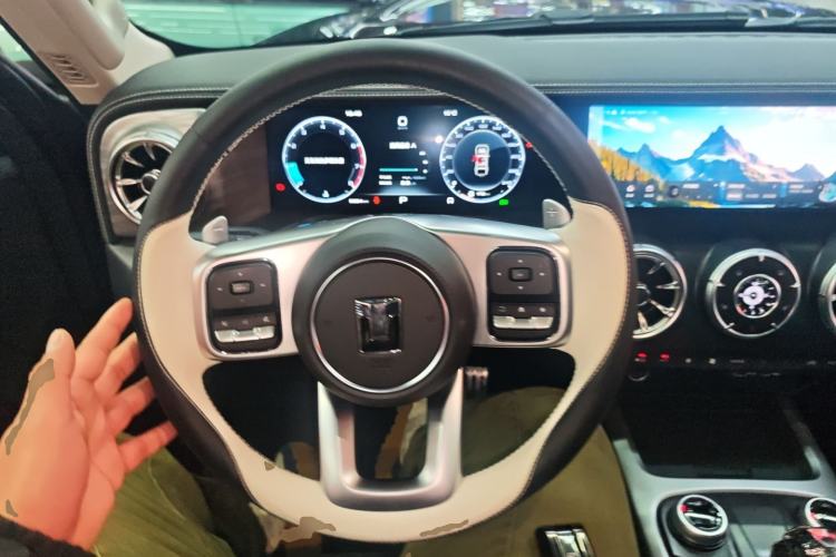 Used Tank 300 2024 2.0T Conqueror